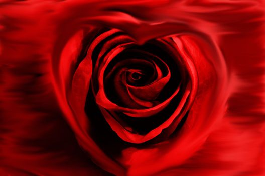 This photo present valentine heart - impression.
