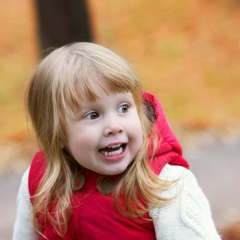 beautiful little girl in autumn park, portrait