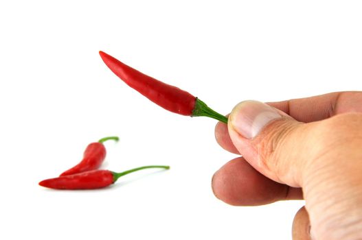 Red chilli peppers on white background 
