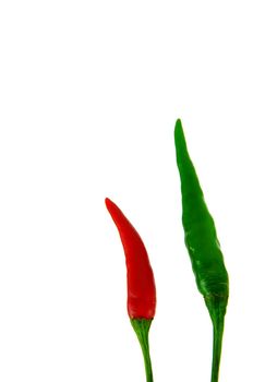 Red and green chilli peppers on white background 