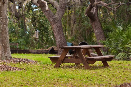 Woden chair in the park outdoors