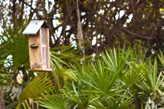 Bird;s house hanging on a tree outdoor