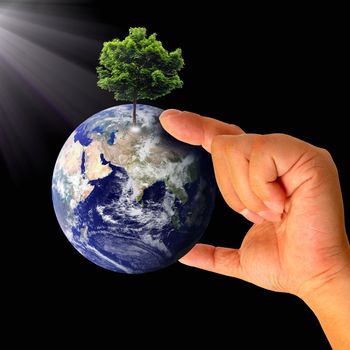 Male hand holding the Earth with tree