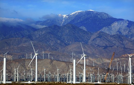 Wind Turbines Coachella Valley Palm Springs California