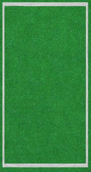 sport field background