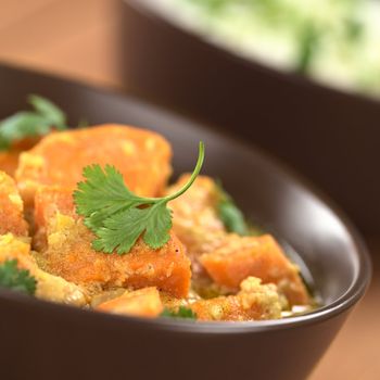 Bowl of vegetarian sweet potato and coconut curry garnished with a cilantro leaf, cooked rice in the back (Selective Focus, Focus on the front of the cilantro leaf)