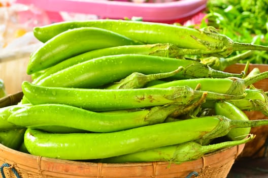 Eggplants in the basket.