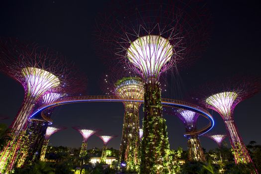 SINGAPORE - JANUARY 23: Night view of Supertree Grove at Gardens by the Bay on January 23, 2013 in Singapore. Spanning 250 acres of reclaimed land in central Singapore, adjacent to the Marina Reservoir.