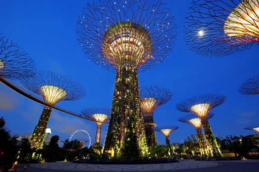 SINGAPORE - JANUARY 23: Night view of Supertree Grove at Gardens by the Bay on January 23, 2013 in Singapore. Spanning 250 acres of reclaimed land in central Singapore, adjacent to the Marina Reservoir.