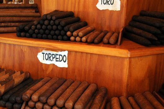 hand rolled torpedo and toro cigars in a smoke shop