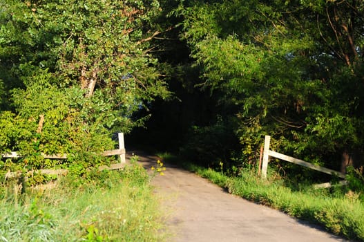 dirt path in countryside with fence at entrance in summer