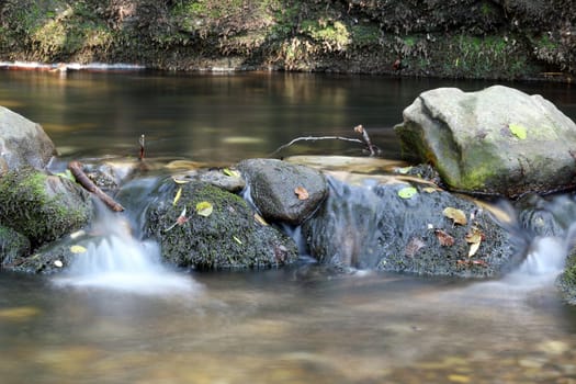 clear water spring nature scene