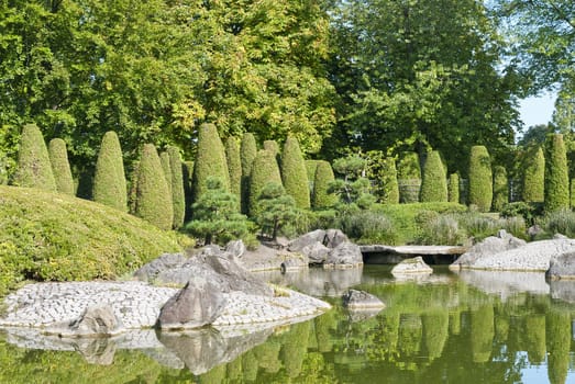 Green Japanese garden  and lake, sunny day