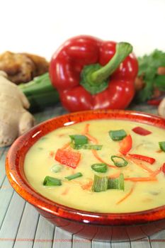 Curry soup with colorful vegetables and chicken
