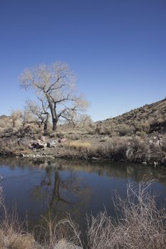 The Truckee river just past Reno towards Fernley in the winter