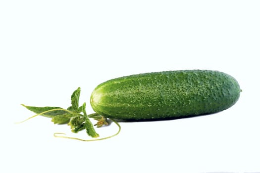 Green cucumber close-up, isolated on white background.