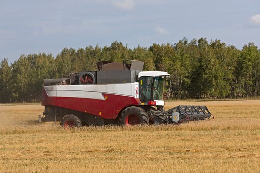 Red Harvester for harvesting wheat on  background field and sky, Russia.