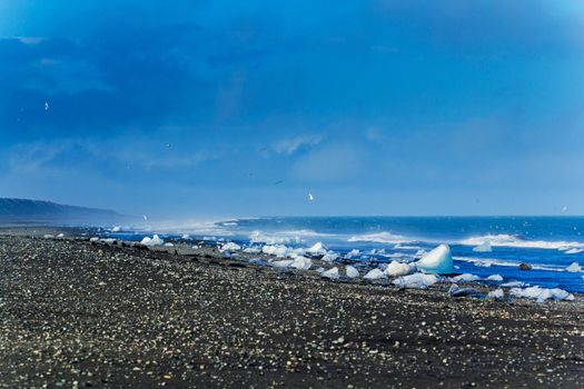 Beautiful beach in the South of Iceland with a black lava sand is full of icebergs from glaciers not far away.