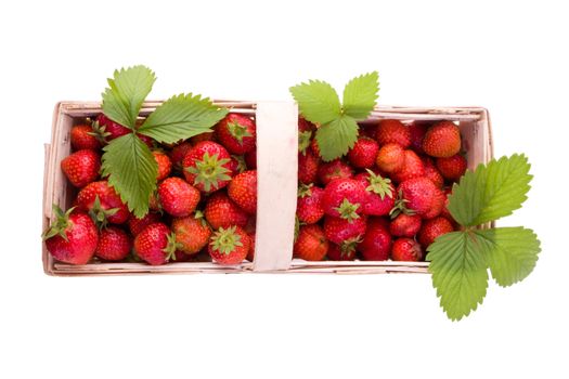 Fresh juicy strawberries in wooden basket isolated