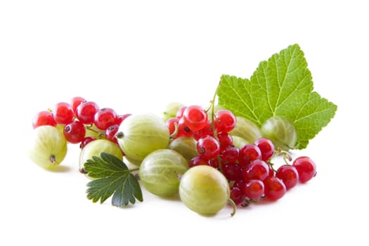 Red currants and green gooseberry isolated on white, fresh fruits