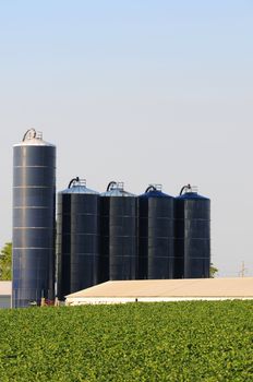 silos on soybean farm in minnesota