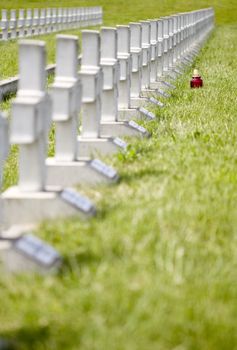 Row of crosses in the military cemetery in Zgorzelec in Poland
