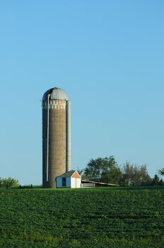 soybean farm with silo and crops