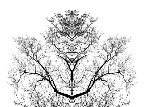 tree branches sulhouettes, isolated on white background