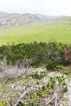 Begovo Field, Jakupica mauntain range in Macedonia