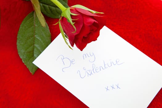 Romantic note: Be my valentine red rose