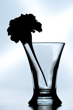 silhouette of a flower in an empty crystal glass