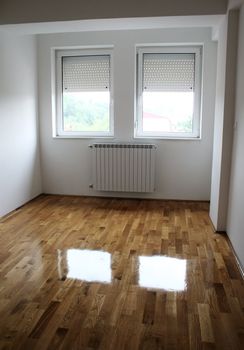 empty room with two windows