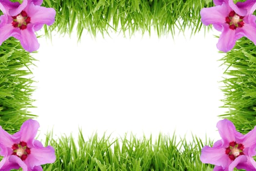 natural frame made out of grass with hibiscus flowers in the corner