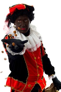 Zwarte piet ( black pete) typical Dutch character part of a traditional event celebrating the birthday of  Sinterklaas in december over white background throwing pepernoten ( ginger nuts)