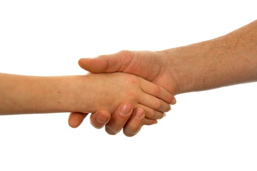 Adult men and child handshake over white background
