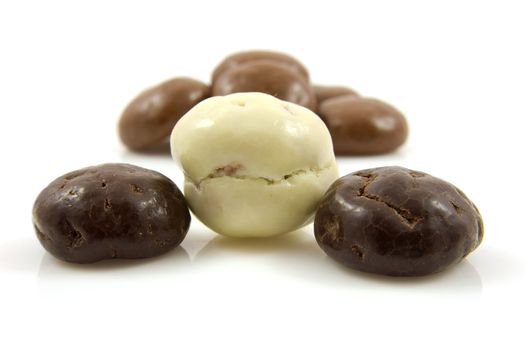 Couple of chocolate ginger nuts in closeup, also known as pepernoten, a typical dutch treat for Sinterklaas