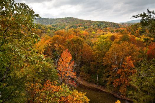 The Bufallo River in Arkansas during the peak of the Autumn season.