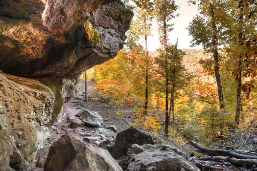 Autumn colors shine along a trail in Arkansas