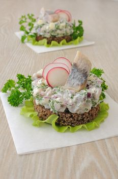 Appetizer of chopped herring, radish and apple and sour cream on a slice of rye bread