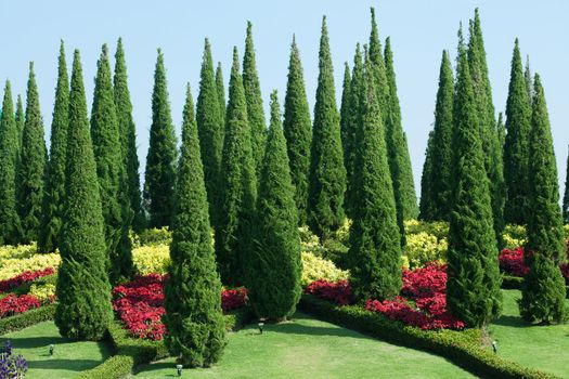 Tropical Garden