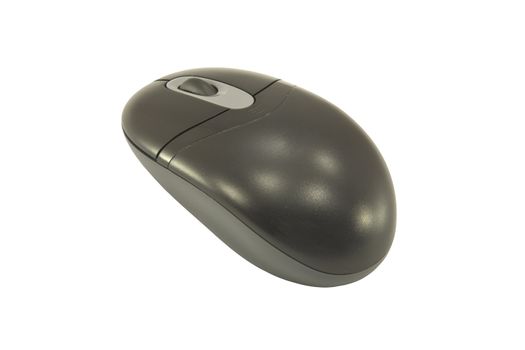 A computer mouse isolated on white background