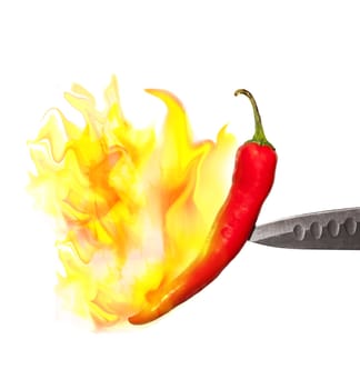 red hot chili pepper in flames isolated on a white background