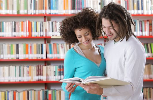 Two students learning together indoors in library