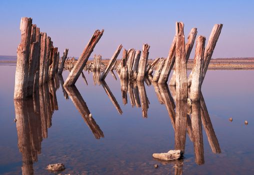 Landscape old rotten columns in lake