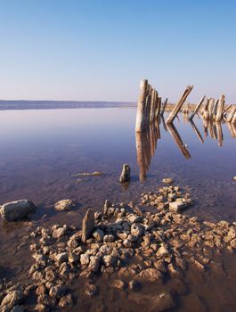 Landscape old rotten columns in lake