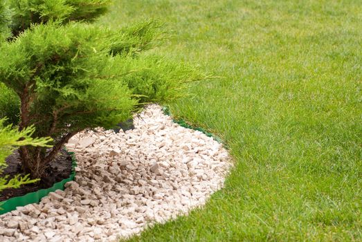 Beautiful park garden in spring and a path of stones