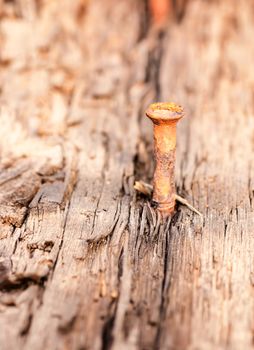 seamless texture of old wood with nail