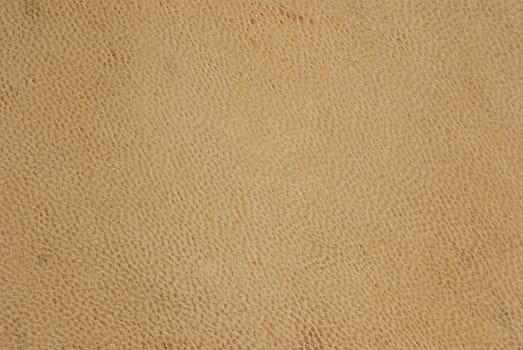 background texture of sheepskin
