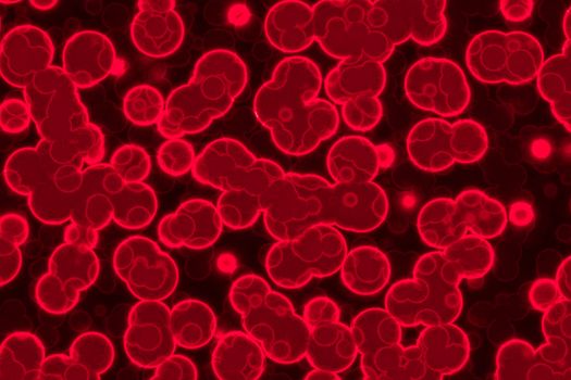 The abstract  red healthy blood cells.
