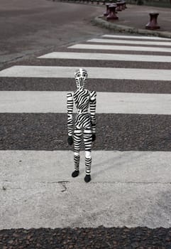 the zebra man on crosswalk